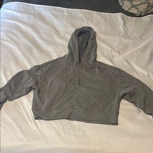 Wild Fable Gray Cropped Hoodie